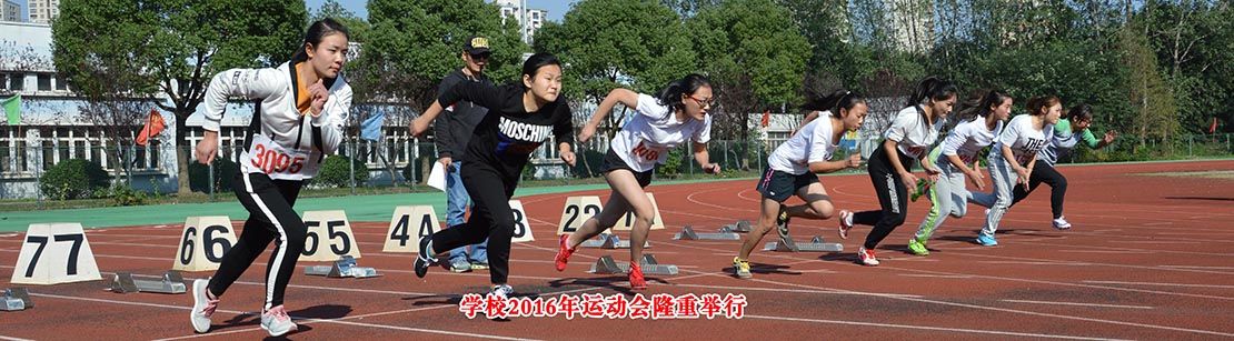 我校2016运动会